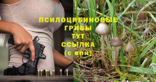 кристаллы Покачи